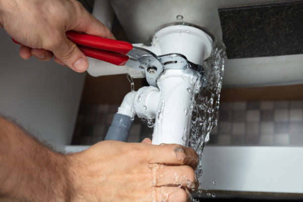 Best Water damage cleanup near me  in Lake Holiday, IL