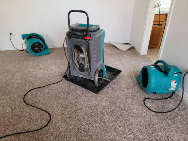Best Water damage restoration process  in Lake Holiday, IL
