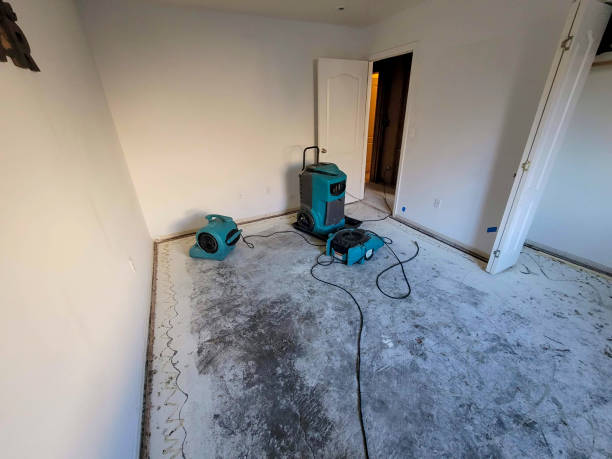 Best Basement water damage restoration  in Lake Holiday, IL