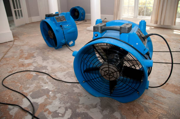 Best Sewage cleanup and water damage restoration  in Lake Holiday, IL