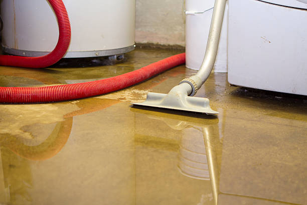 Best Residential water damage restoration  in Lake Holiday, IL