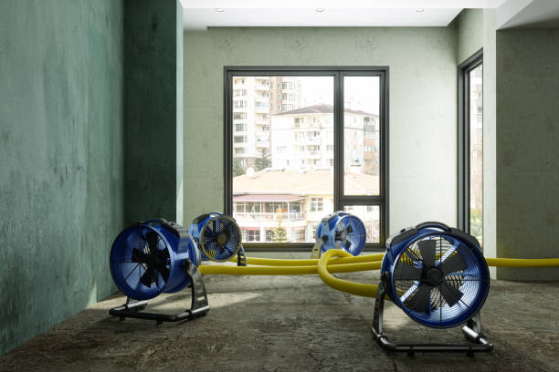 Best Fire Damage Restoration  in Lake Holiday, IL