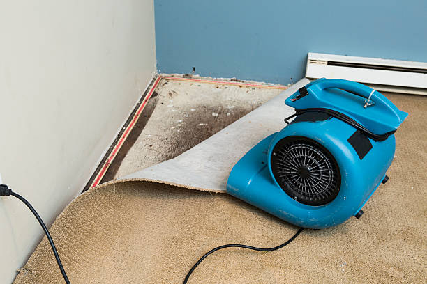 Best 24/7 water damage repair  in Lake Holiday, IL